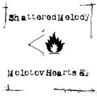 Picture for song 'Endless Melancholy' by artist 'Shattered Melody'