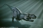 Picture for song 'Funkasaurus' by artist 'Shawn Needham'