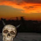 Picture for song 'I Have Got Demons.mp3' by artist 'She Hates You'