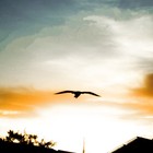 Picture for song 'Go West ( Missing Bassline )' by artist 'Shiftyproduction'