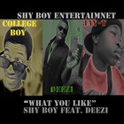 Picture for song 'What You Like (SONG)' by artist 'Shy Boy Entertainment'