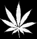 Picture for song 'Smoke It Up' by artist 'Silent Beats'