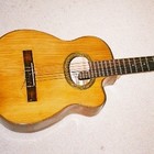 Picture for song 'Put Your Hands on the Radio' by artist 'SkaBilly Gringo'