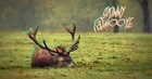 Picture for song 'Graffiti' by artist 'Skinny MooXe'