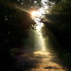 Picture for song 'Calmness Power' by artist 'skw'