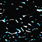 Picture for song 'Space' by artist 'Slave of Destruction'