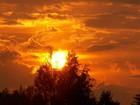 Picture for song 'SlingShot Feat Absoloot- House Of The Rising Sun' by artist 'SlingShot'