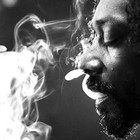 Picture for song '*#1 HIT* I Stay High (FREE DL)' by artist 'Sno Storm Productions (FKA Sno State Records)'