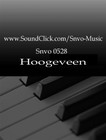 Picture for song 'Snvo - sh*** is Gruwelijk' by artist 'Snvo-Music'