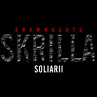 Picture for song '01 Skrilla 1' by artist 'Soliarii'