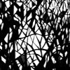 Picture for song 'from point a' by artist 'SonarScope'