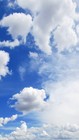 Picture for song 'Cloudy Sky' by artist 'Sonic Sjaak'