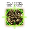 Picture for song 'The enemy' by artist 'Starstika'