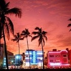 Picture for song 'Miami Heat' by artist 'Star Tanner Productions'