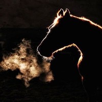 Picture for song 'Let's go ...' by artist 'stefanos grigoriadis'