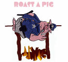Picture for song 'Droppin Pigz' by artist 'Stems'