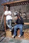 Picture for song 'Get Back (Lauderdale Remix)' by artist 'Straptown'