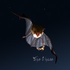 Picture for song 'The Chase' by artist 'Strawberry Nightmares'