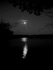 Picture for song 'Moon Lake' by artist 'stringphilosophy'