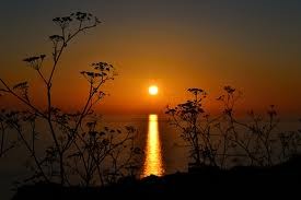 Picture for song 'fading memory.mp3' by artist 'Stuart Dawson'