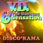 Picture for song 'DISCO'RAMA' by artist 'studioB jazz project'