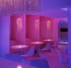 Picture for song 'transform' by artist 'Sushi Pot Jungle'