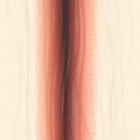 Picture for song 'We Throw Back The Scraps They Use To Bury Us' by artist 'Sweetie'