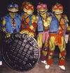 Picture for song 'Tubin'' by artist 'Teenage Mutant Ninja Turtles'