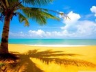 Picture for song '*SUMMER* Footloose (0.99 D/L)' by artist 'ThaInstrumentalist'