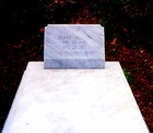 Picture for song 'Duane's Epitaph' by artist 'The Al Love Experience'
