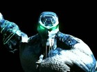 Picture for song 'Frost Bite (Aviator x Lil Dread Collab) **BANGER**' by artist 'The Aviator Beats'