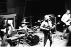 Picture for song 'Moon is Free' by artist 'The Best Friends (Santa Cruz)'