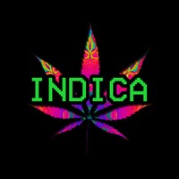Picture for song 'Indica' by artist 'Pragz'