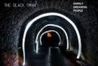 Picture for song 'The Dark Passenger' by artist 'the black swan'