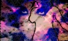 Picture for song 'Delta Narcotic.mp3' by artist 'The Devil's Orphans'