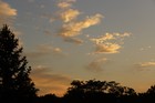 Picture for song 'Where Has the Summer Gone' by artist 'The Edelmann Consort'