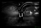 Picture for song 'Take My Sanity' by artist 'THE EMPTY HELL'