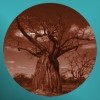 Picture for song 'Mother' by artist 'The Mandrake Project UK'