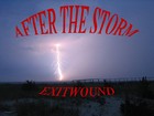 Picture for song 'Spirits of The Night' by artist 'The Native Axeman'