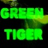 Picture for song 'Green Tiger' by artist 'The Orange Wolves'