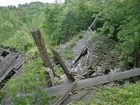 Picture for song 'Amphimixis' by artist 'The Pine Mountain Whine Fountain'