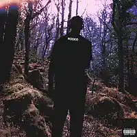 Picture for song 'Astrosphere (Travis Scott x Young Thug Type Beat)' by artist 'TheRealRomanBeatz'