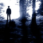 Picture for song 'Lamb for the Slaughter' by artist 'The Sectumsempras'