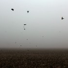 Picture for song 'Where am I?' by artist 'The Serendipitous Cacophonies'