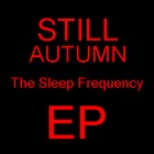 Picture for song 'Beneath The Sea' by artist 'The Sleep Frequency'