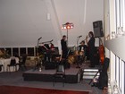 Picture for song 'Tupelo Honey' by artist 'The Society Express Band'