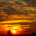 Picture for song 'In Front Of You-' by artist 'the Vietna Mogue'