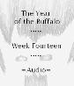Picture for song 'Week Fourteen: Burnished Heartbeat' by artist 'The Year of the Buffalo (Volume II)'