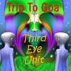 Picture for song 'Trip To Goa' by artist 'Third Eye Unit'