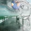 Picture for song 'Amor Fati' by artist 'Thyrsus'
